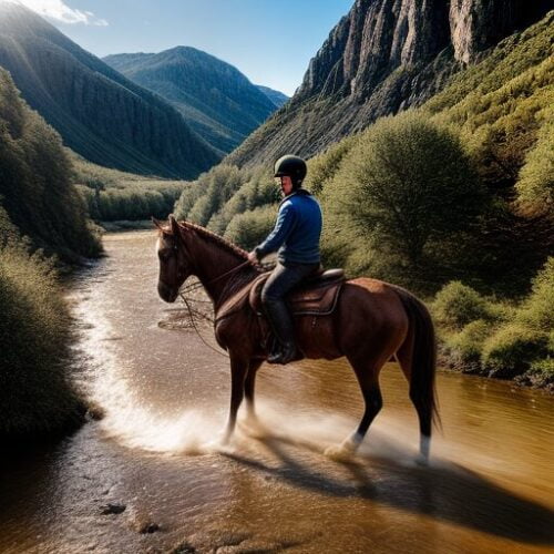 Travail du cheval monté en extérieur