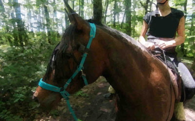 Sortie forêt avec Izia