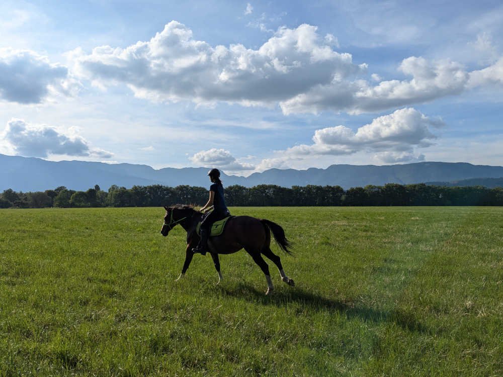 Galop dans les champs proches de Versonnex