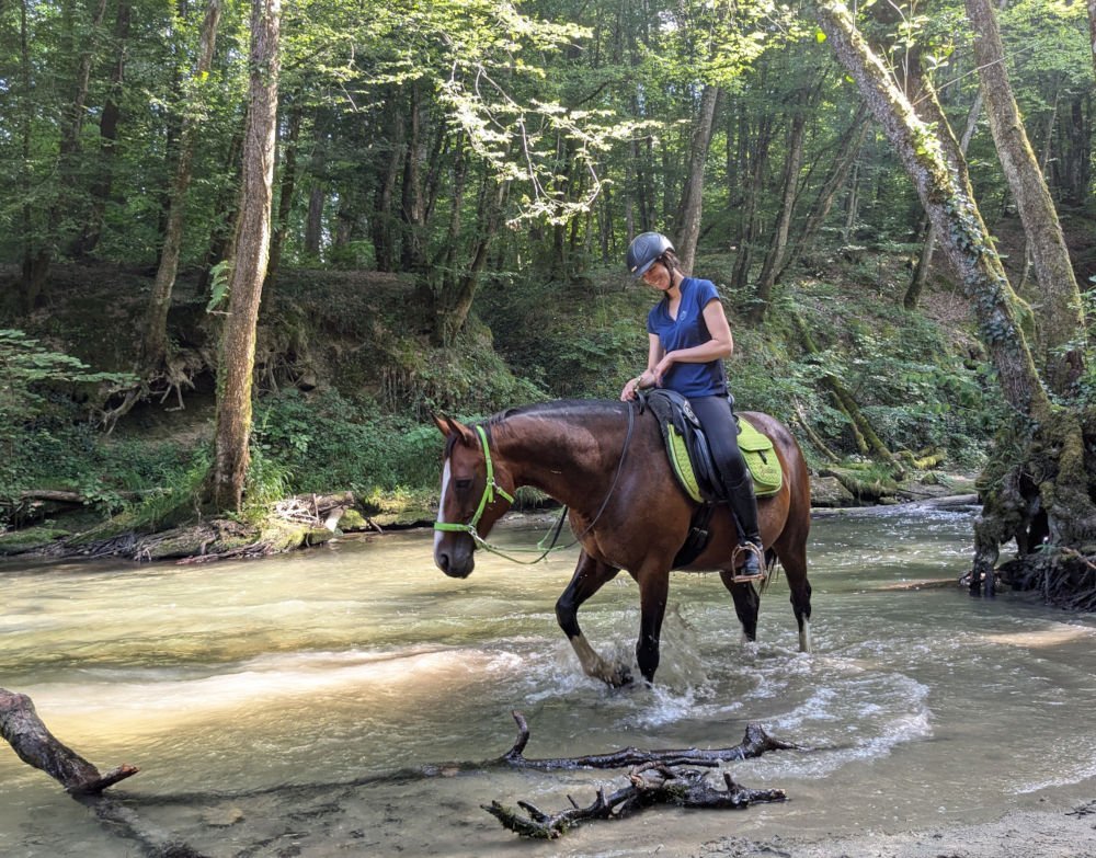 La jument aime jouer avec l'eau de la rivière