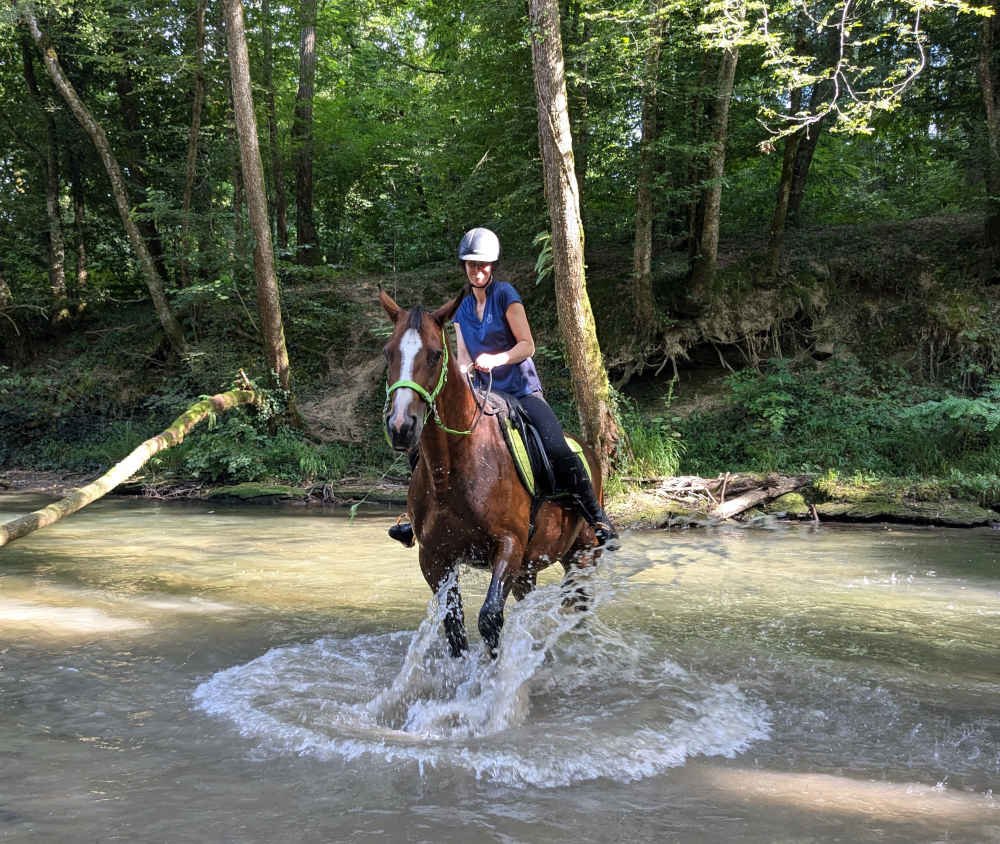 La jument adore jouer avec l'eau de la rivière