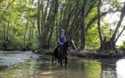 Sortie forêt avec Baliska