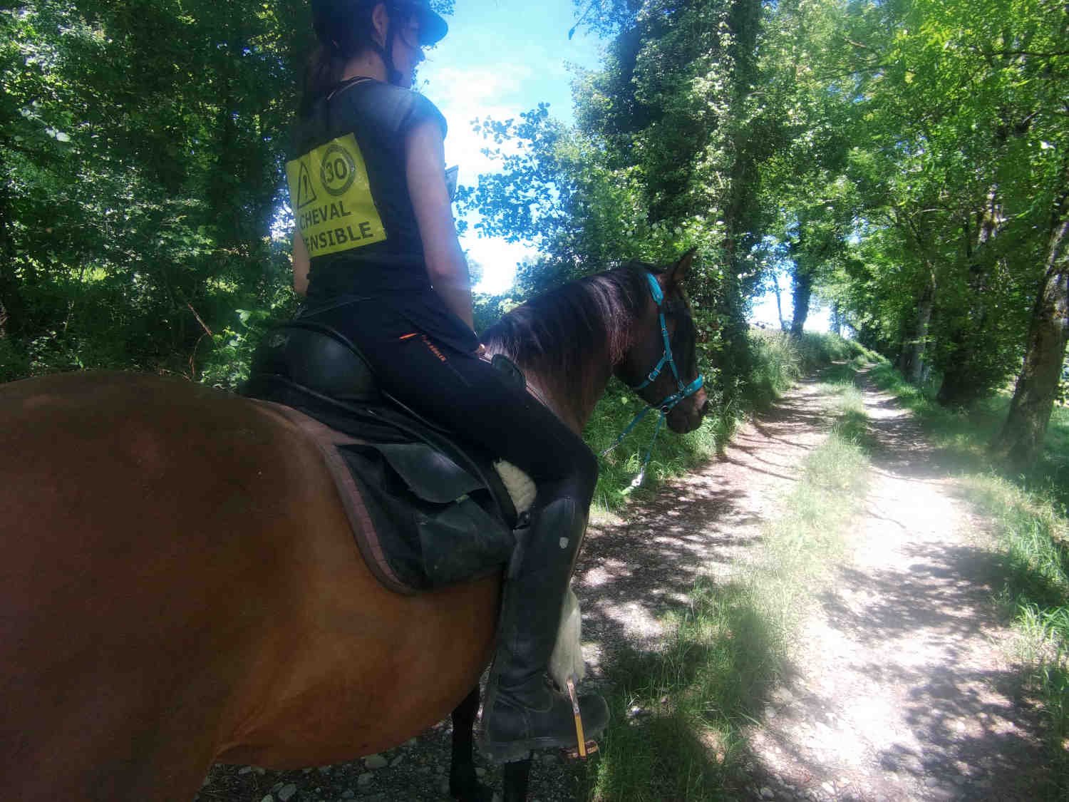 Sortie en forêt proche de Malioz