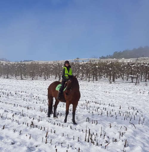 À cheval dans les champs enneigés