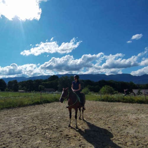 Travail du cheval monté en carrière