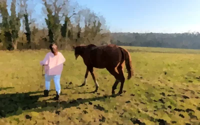 Célia et Bonito, une équipe qui se construit