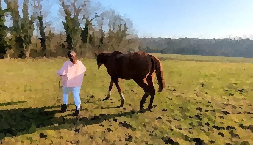 Celia et le cheval Bonito