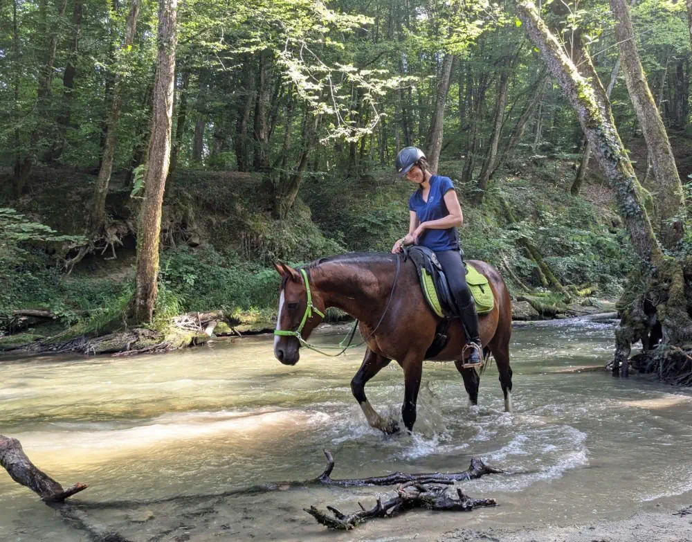 Cheval en sortie dans la rivière