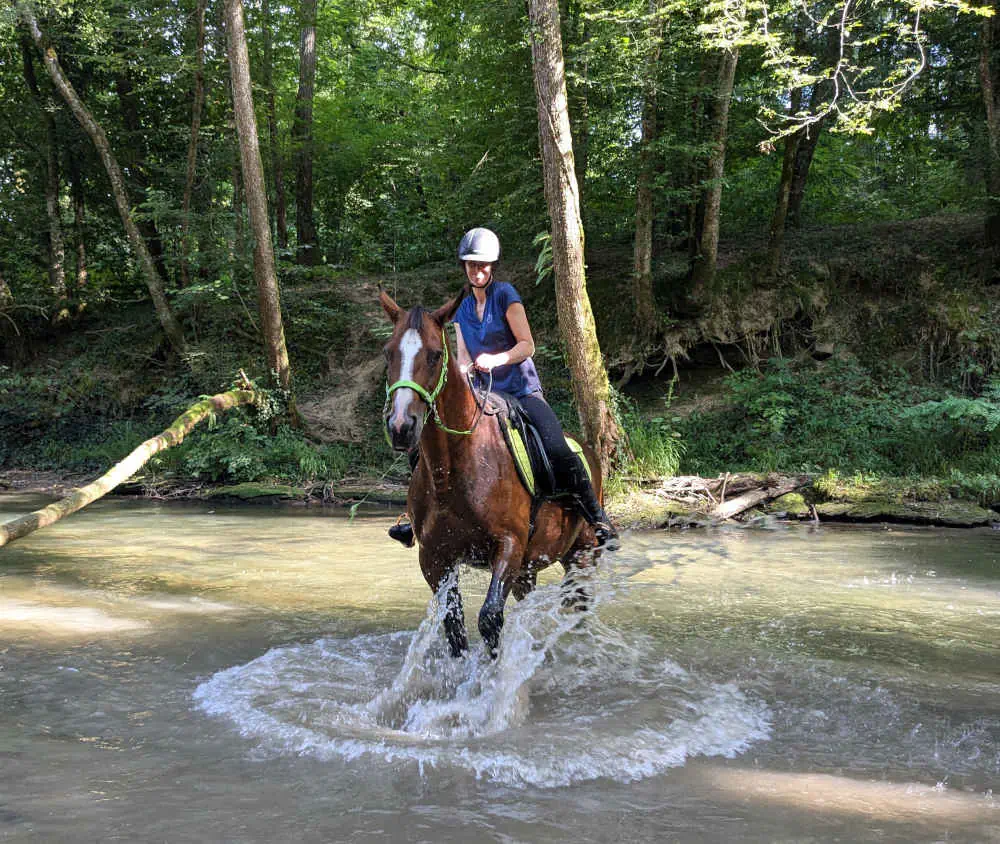 Cheval en sortie dans la rivière