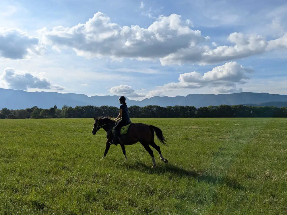 Jument au galop avec sa cavalière