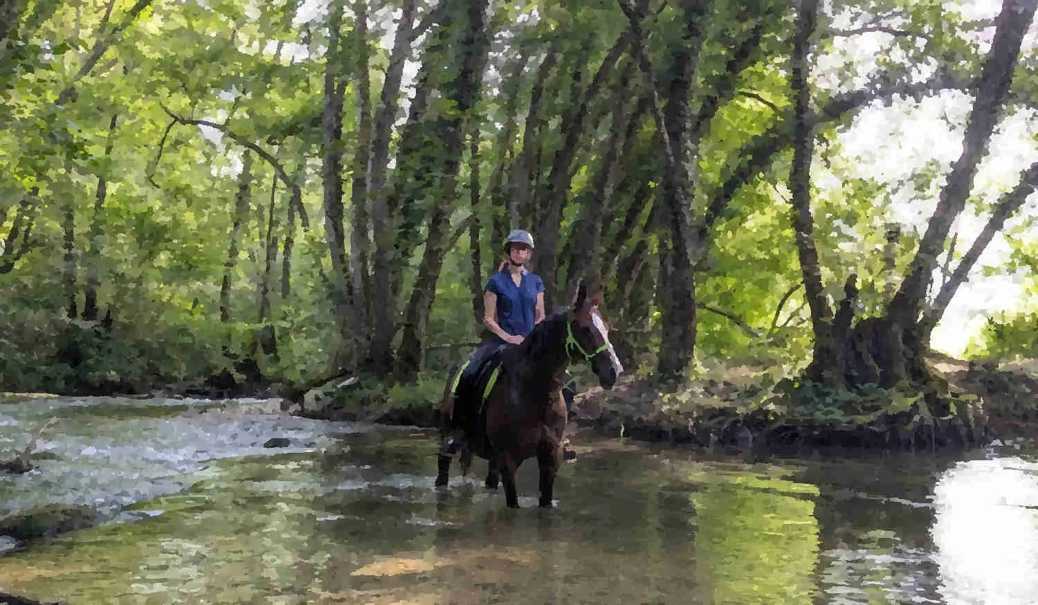 La jument Baliska attentive et sereine avec sa cavalière