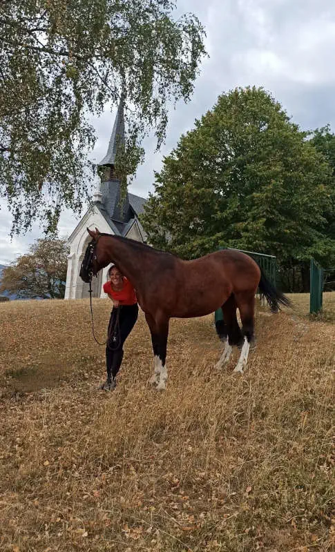 Sortie à cheval dans le pays de Gex (Ain)