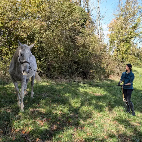 Sorties à pied pour chevaux