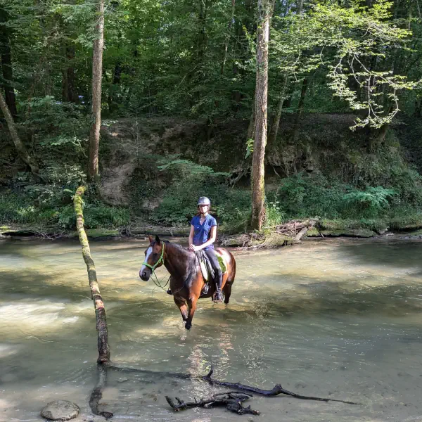 Travail monté en extérieur dans une rivière